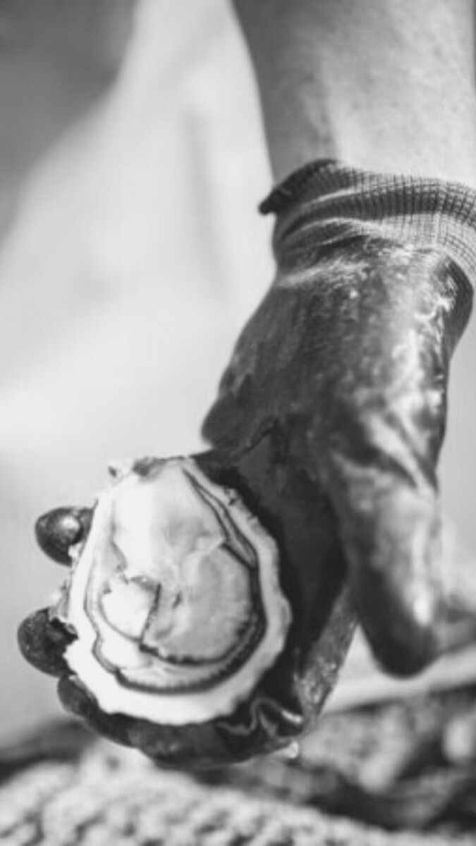 conversion ml en grammes