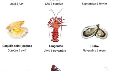Conversion 16 oz ml : mesures précises pour vos recettes de fruits de mer