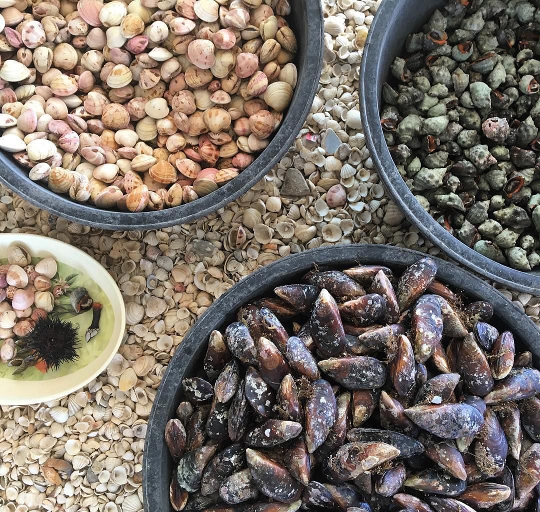 fruits de mer teneur en fer