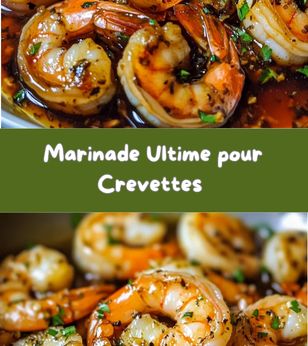 Conversion 150 ml en cl : secrets des marinades pour coquillages tendres