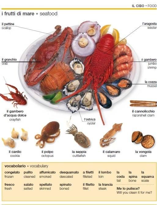 correspondance cup ml