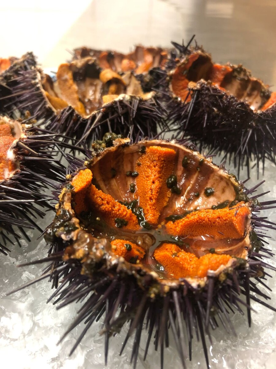 convertir ml en gramme