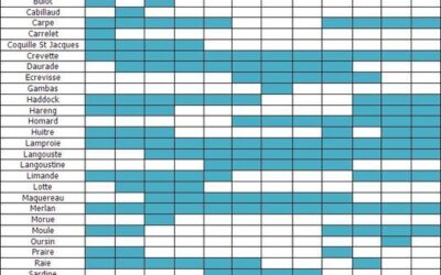 Équivalence cup ml : conversions précises pour vos plateaux de fruits de mer