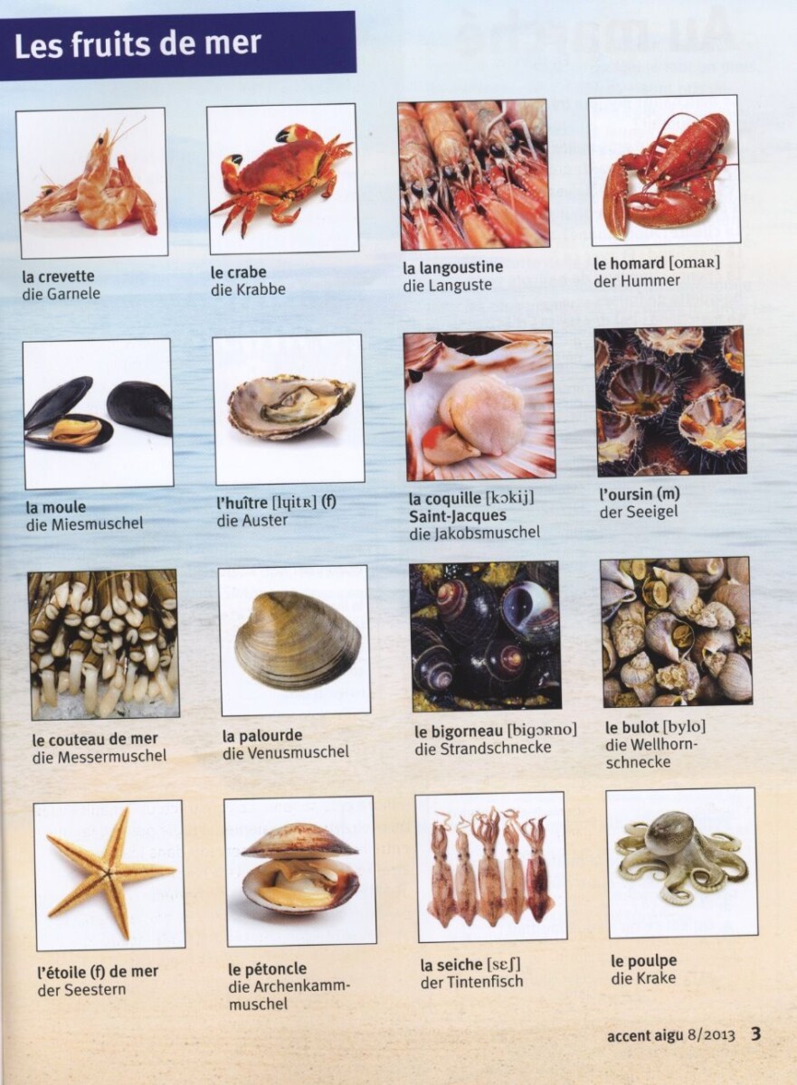 fruits de mer riches en fer