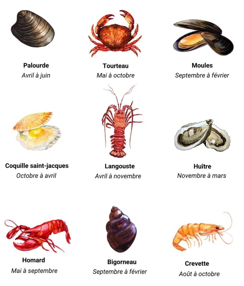 taux troponine ng/ml