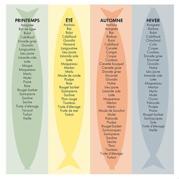 correspondance cup ml