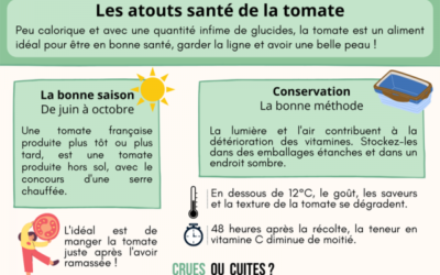 Identification des maladies de la tomate : guide visuel et images détaillées