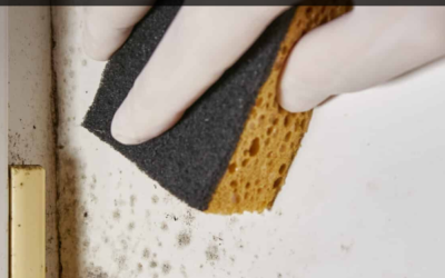 Remèdes de grand-mère efficaces contre l’humidité maison