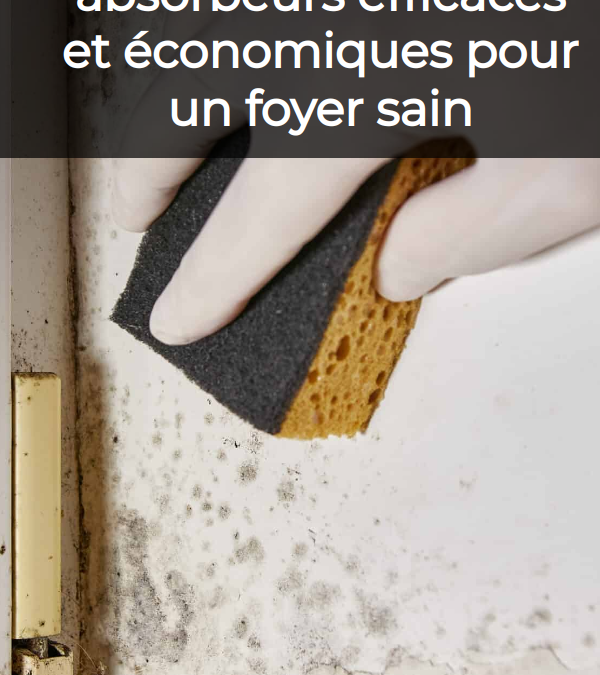 Remèdes de grand-mère efficaces contre l’humidité maison