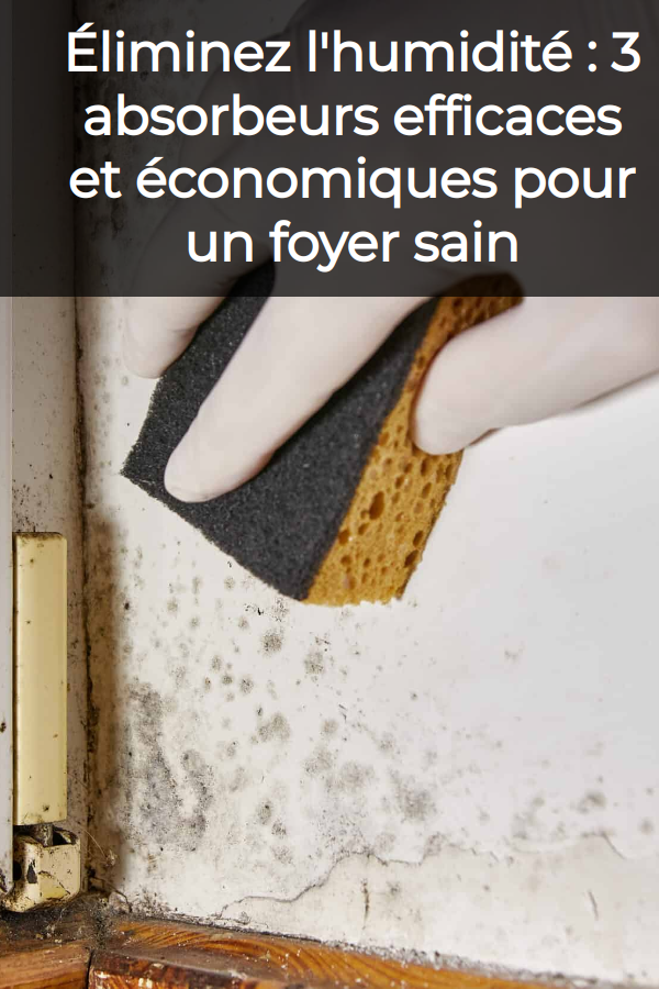 remede de grand mere contre l\'humidité dans la maison