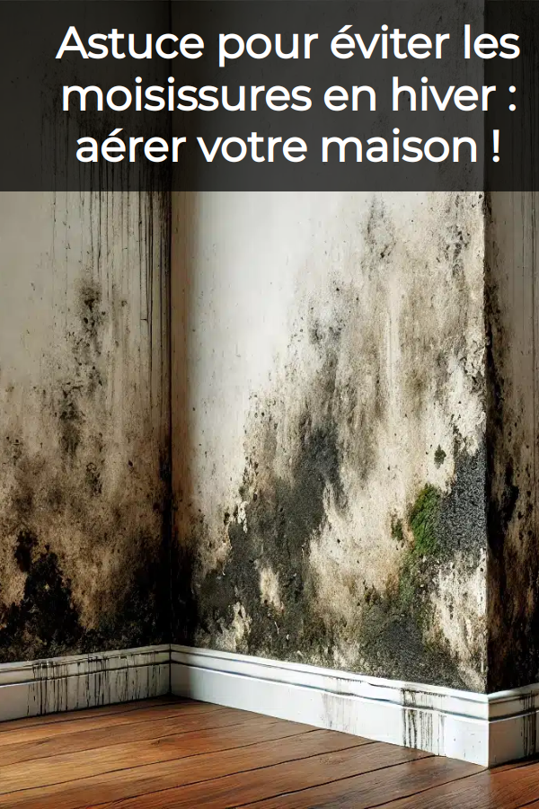 remede de grand mere contre l\'humidité dans la maison