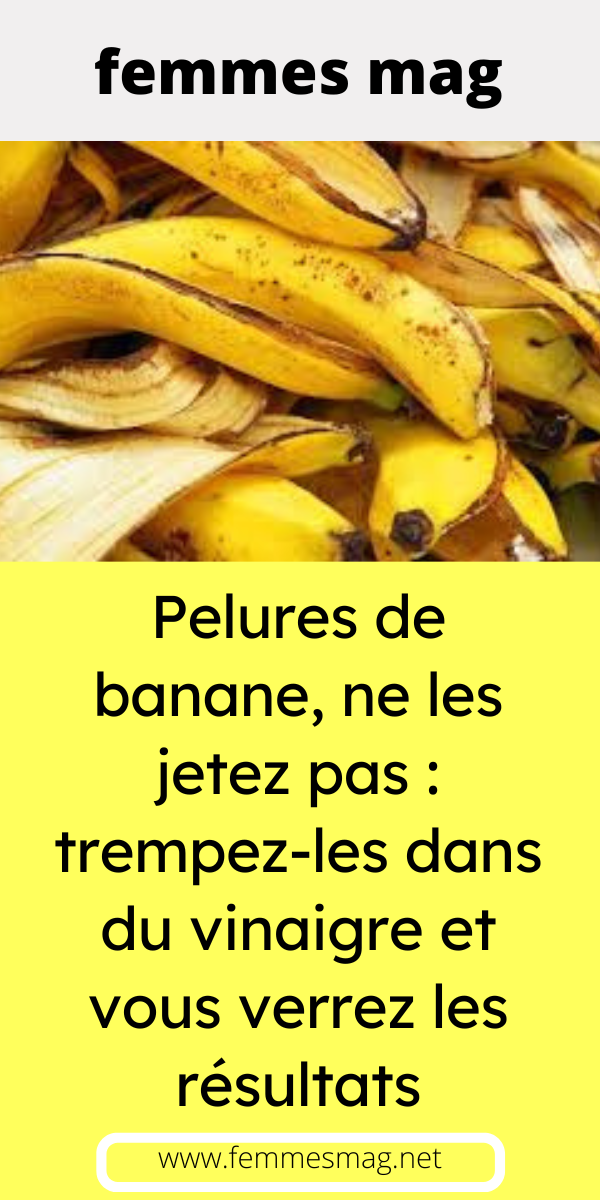 Platane murier feuilles