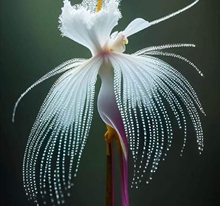 La fleur rare la plus précieuse du monde : un trésor botanique à découvrir