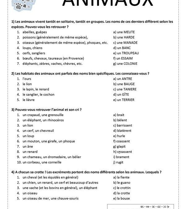 Identifier et gérer les excréments de lérot dans votre jardin