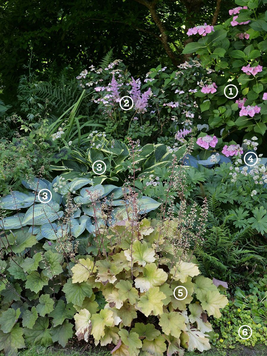 D&eacute;coration orientation