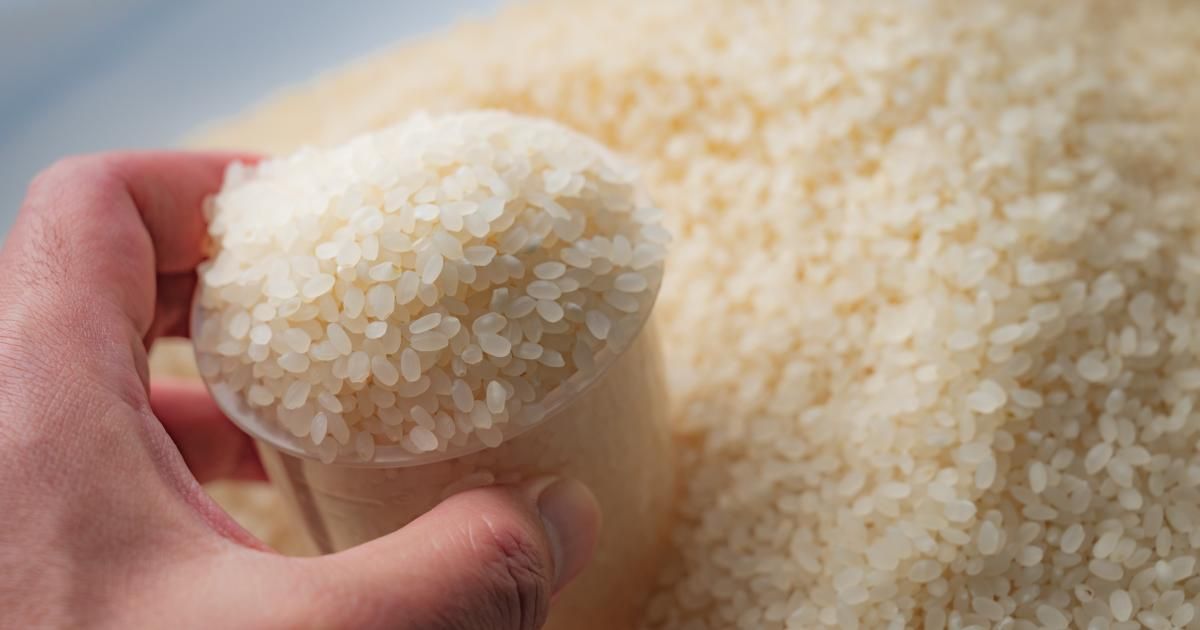 dosage riz par personne